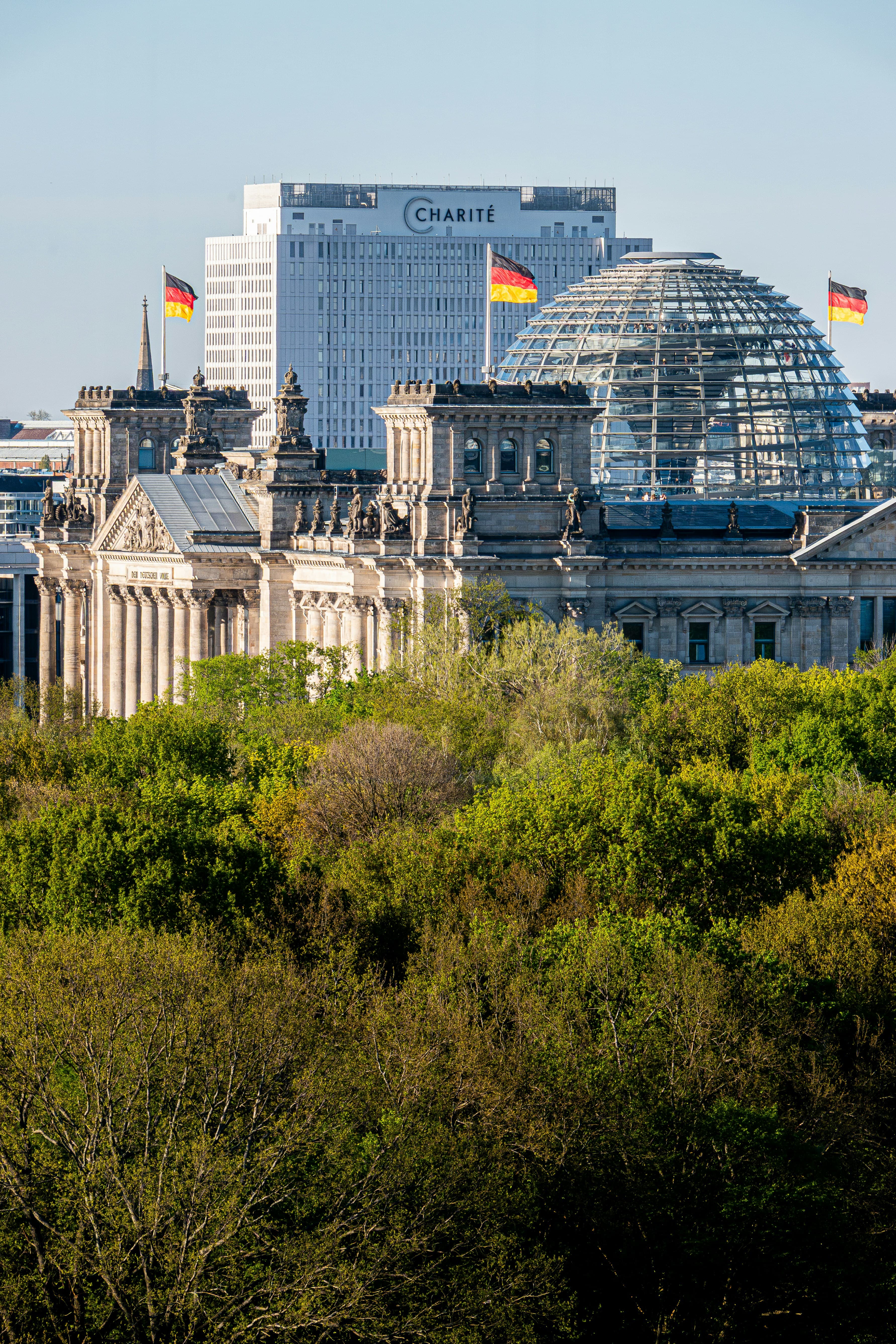 Healthcare professionals in a modern German medical environment